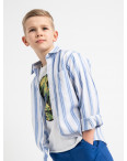 1911 Boston Public белая рубашка в полоску на мальчика 7-15 лет (5 ед. размеры: 30/31.32/33.33/34.34/35.35/36): артикул 1118419