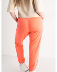 1106-32 НЕОН спортивные брюки женские батальные из двунитки (4 ед размеры: 2XL.3XL.4XL.5XL): артикул 1135356
