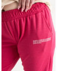 1106-100 МАЛИНОВЫЕ спортивные брюки женские батальные из двунитки (4 ед размеры: 2XL.3XL.4XL.5XL): артикул 1135359