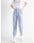 0019-3 ГОЛУБЫЕ X&D спортивные брюки женские из двунитки ( 6 ед. размеры : S.M.L.XL.2XL.3XL): артикул 1128983