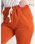 1480-4 ТЕРРАКОТОВЫЕ БАТАЛЬНЫЕ YOLA спортивные штаны женские из турецкой петли (4 ед.размеры: 50.52.54.56): артикул 1132770