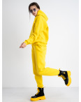 2010-8 Mishely желтый женский спортивный костюм  из турецкой трехнитки на флисе (4 ед. размеры: S.M.L.XL): артикул 1124267