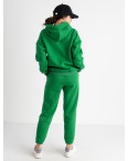 2010-20 Mishely зеленый женский спортивный костюм из турецкой трехнитки на флисе (4 ед. размеры: S.M.L.XL): артикул 1126138