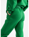 2010-20 Mishely зеленый женский спортивный костюм из турецкой трехнитки на флисе (4 ед. размеры: S.M.L.XL): артикул 1126138