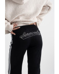 0234-1 спортивные штаны прямые женские на флисе микс моделей и цветов (5 ед. размеры: S-L): артикул 1126772