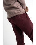 2551 Varxdar бордовые брюки мужские стрейчевые на флисе  (7 ед. размеры: 28.29.30.31.32.33.34): артикул 1126768