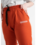 1106-5 ТЕМНО-ОРАНЖЕВЫЕ спортивные брюки женские батальные из двунитки ( 4 ед размеры: 2XL.3XL.4XL.5XL): артикул 1128451