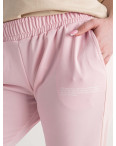 1106-6 ПУДРОВЫЕ спортивные брюки женские батальные из двунитки (4 ед размеры: 2XL.3XL.4XL.5XL): артикул 1135358