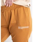1106-19 СВЕТЛО-КОРИЧНЕВЫЕ спортивные брюки женские батальные из двунитки (4 ед размеры: 2XL.3XL.4XL.5XL): артикул 1135354