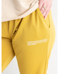 1106-35 ГОРЧИЧНЫЕ спортивные брюки женские батальные из двунитки (4 ед размеры: 2XL.3XL.4XL.5XL): артикул 1135362