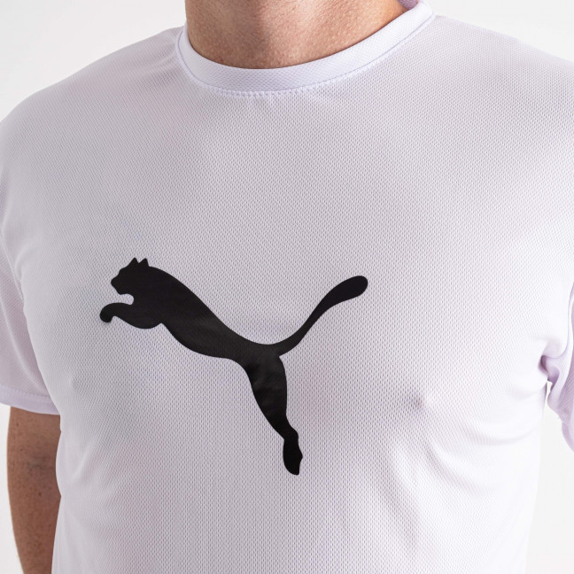 1365-10 БЕЛАЯ футболка мужская ткань COOLMAX с принтом ( 5 ед.размеры: M.L.XL.2XL.3XL) Футболка: артикул 1135588