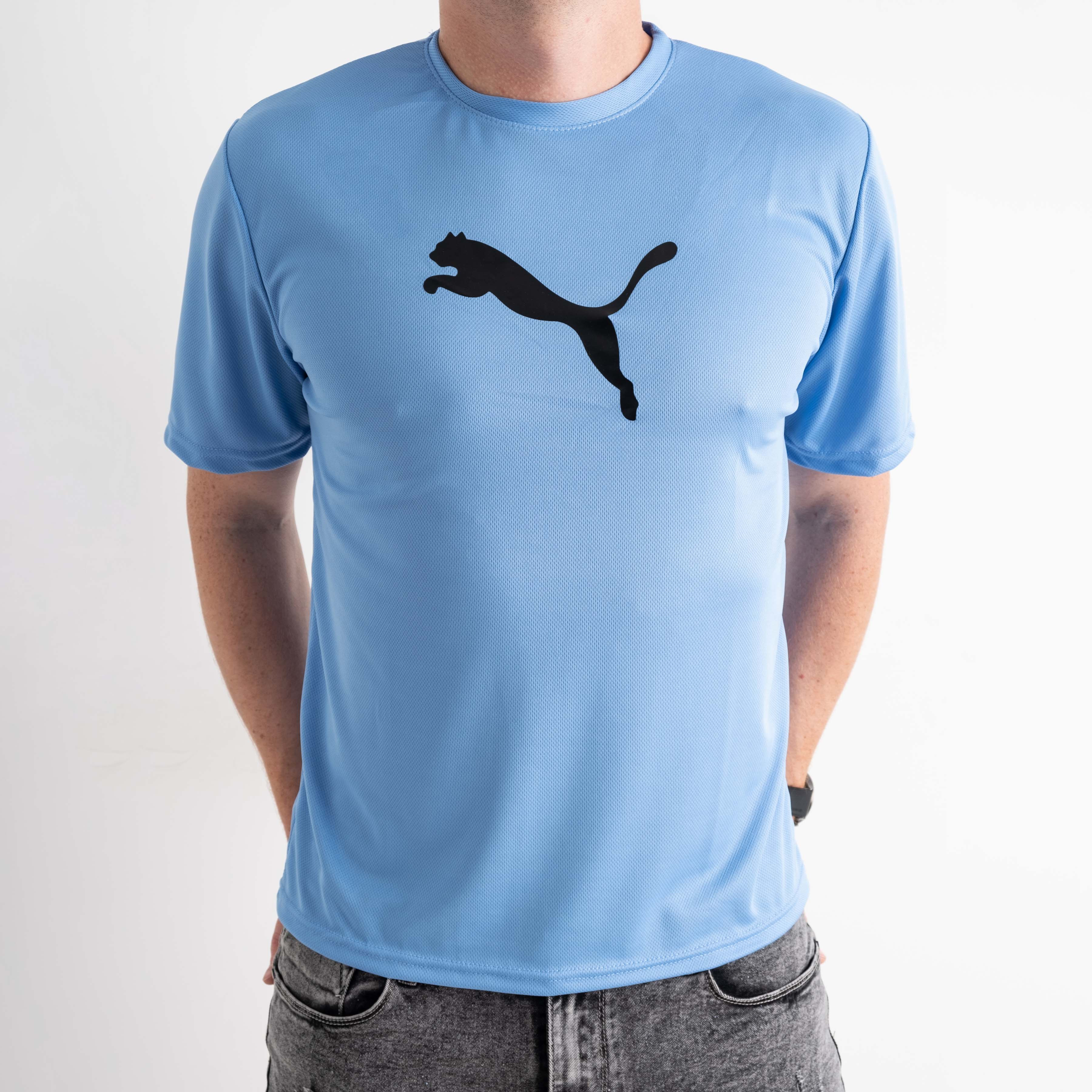 1365-22 ГОЛУБАЯ футболка мужская ткань COOLMAX с принтом ( 5 ед.размеры: M.L.XL.2XL.3XL)