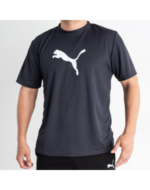 1365-6 ГРАФИТОВАЯ футболка мужская ткань COOLMAX с принтом ( 5 ед.размеры: M.L.XL.2XL.3XL)