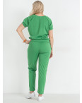 19700-7 зеленый женский спортивный костюм (SARA, французкий трикотаж, 4 ед. размеры полубатал: 46. 48. 50. 52): артикул 1145000