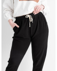 0635-1 Clover ЧЕРНЫЕ БАТАЛЬНЫЕ спортивные брюки женские (5 ед.размеры: 2XL.3XL.4XL.5XL.6XL): артикул 1133507