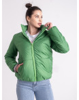 0420-7 салатовая женская куртка-зефирка (5'TH AVENUE, синтепон, 4 ед. размеры норма: 42. 44. 46. 48): артикул 1143086