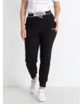 0701-1 черные женские спортивные штаны (5 ед. размеры батал: XL. 2XL. 3XL. 4XL. 5XL): артикул 1145497