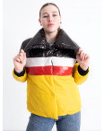 90070-8 мультиколор женская куртка (синтепон, 3 ед. размеры норма: M. L. XL): артикул 1151953