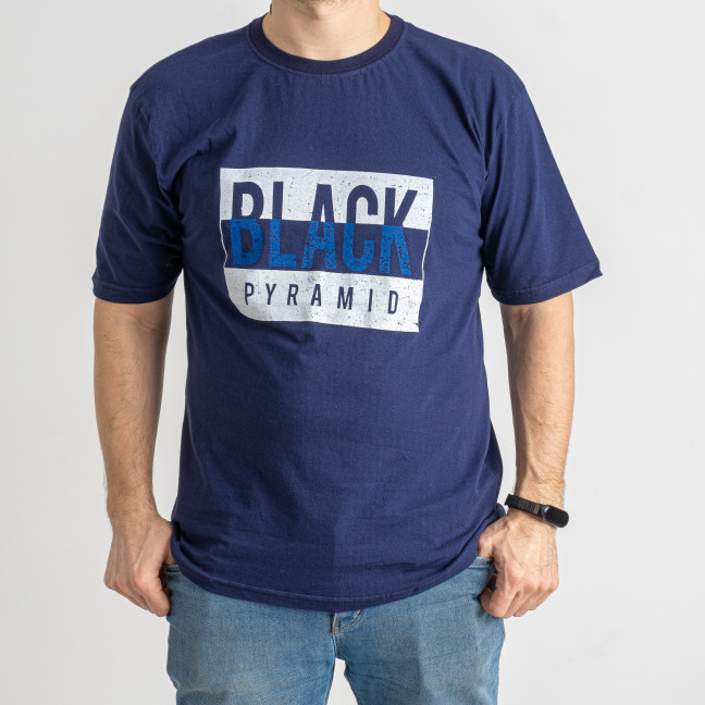 1590-2 синяя мужская футболка (4 ед. размеры батал: 2XL. 3XL. 4XL. 5XL) Alper: артикул 1143462