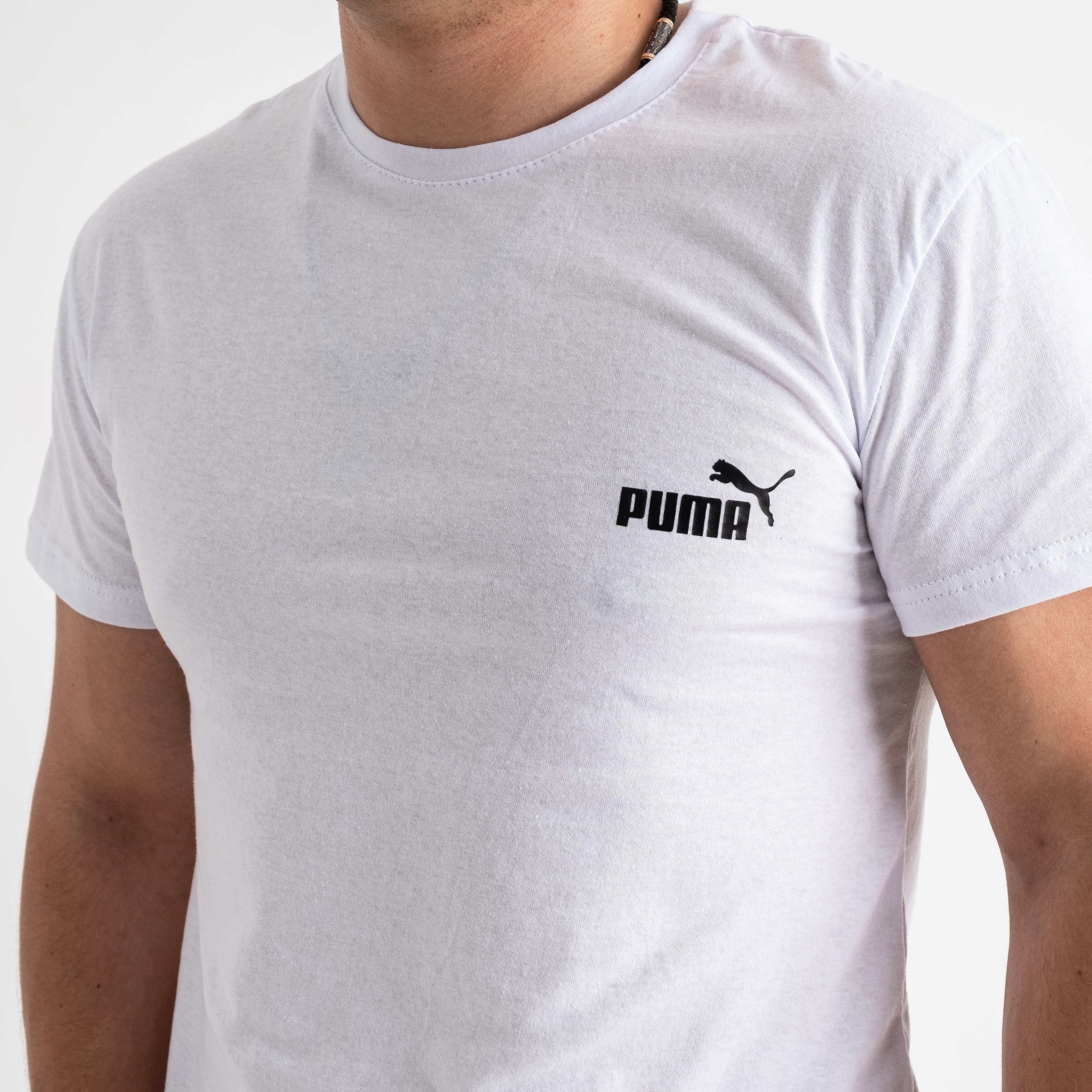 20505-10 белая мужская футболка с принтом (турецкий трикотаж, 5 ед. размеры норма: M. L. XL. 2XL. 3XL)  