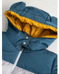 3590-1 куртка детская на 4-8 лет с капюшоном на синтепоне (5 ед. размеры: 98.104.110.116.122): артикул 1131662