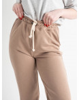 1480-6 БЕЖЕВЫЕ БАТАЛЬНЫЕ YOLA спортивные штаны женские из турецкой петли (4 ед.размеры: 50.52.54.56): артикул 1132772