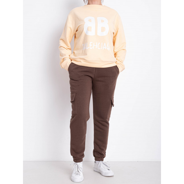 9997-9 коричневые женские спортивные брюки (AOLONG. технитка на флисе, не кашлатится, 5 ед, размеры полубатал: XL. 2XL. 3XL. 4XL. 5XL) Aolong: артикул 1159006