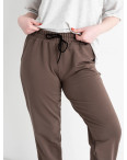 0022-3 БЕЖЕВЫЕ БАТАЛЬНЫЕ спортивные брюки женские из турецкой двунитки (4 ед.размеры: 50.52.54.56): артикул 1133250