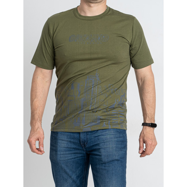 0859-75 зеленая мужская футболка (ROYAL SPORT, 6 ед. размеры норма: S. M. L. XL. 2XL. 3XL) Royal Sport: артикул 1146374
