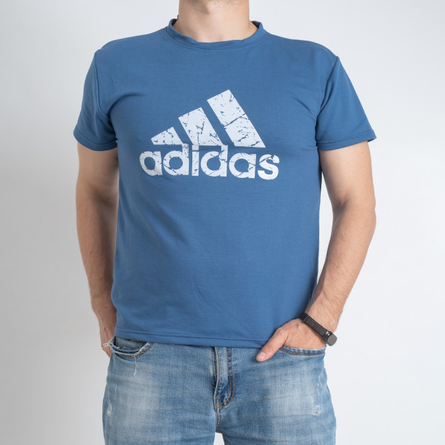 9836-2 синяя мужская футболка (турецкий трикотаж, принт, 5 ед. размеры на бирках: 46. 48. 50. 52. 54, маломерит на 2 размера) Футболка: артикул 1146426