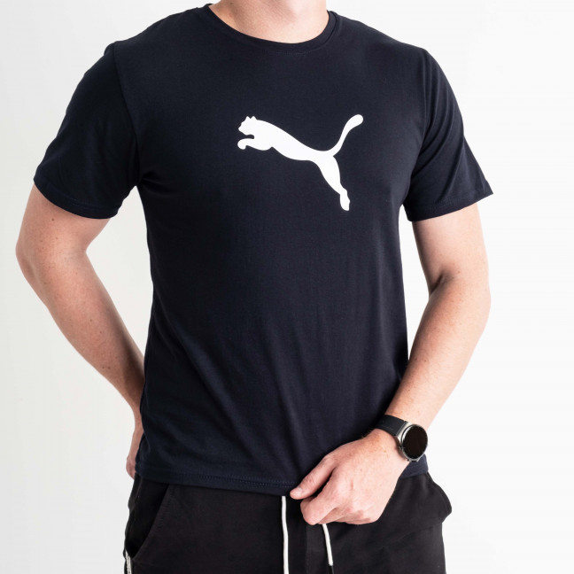 1366-2 СИНЯЯ футболка мужская с принтом (6 ед.размеры: M.L.XL.2XL.3XL.4XL) Футболка: артикул 1135378